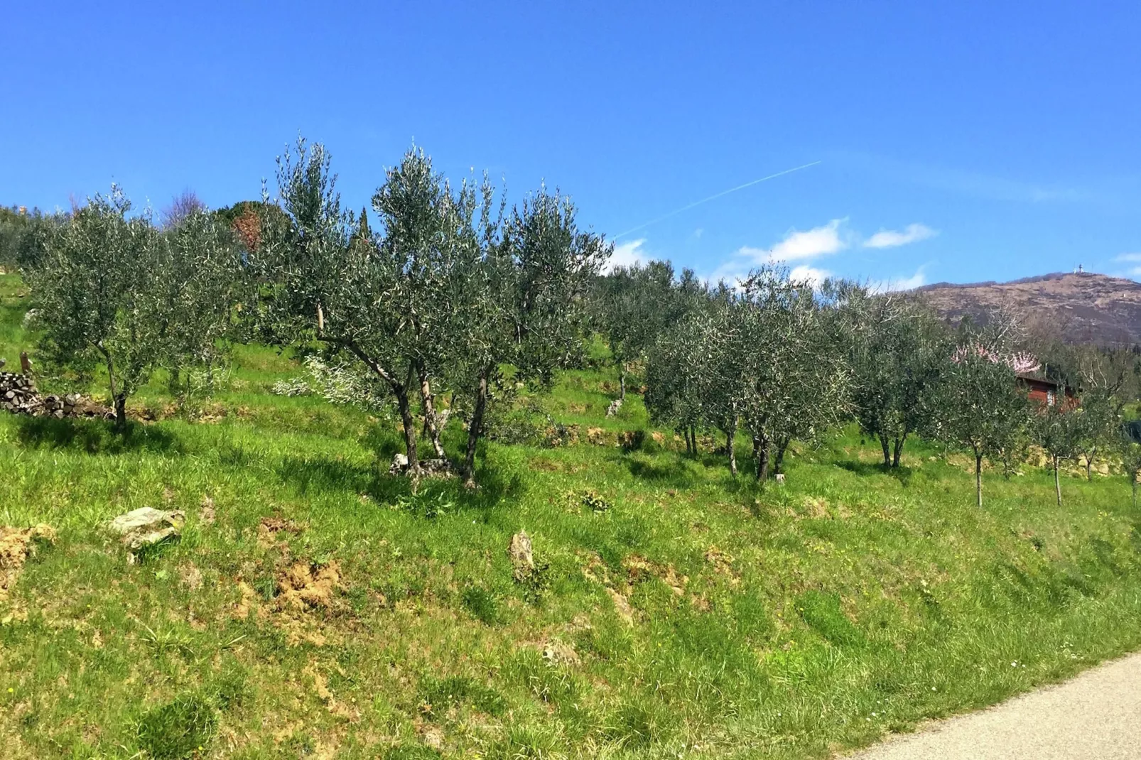 Boerderij voor 5 personen op een berg in Pratomagno-Gebieden zomer 1km
