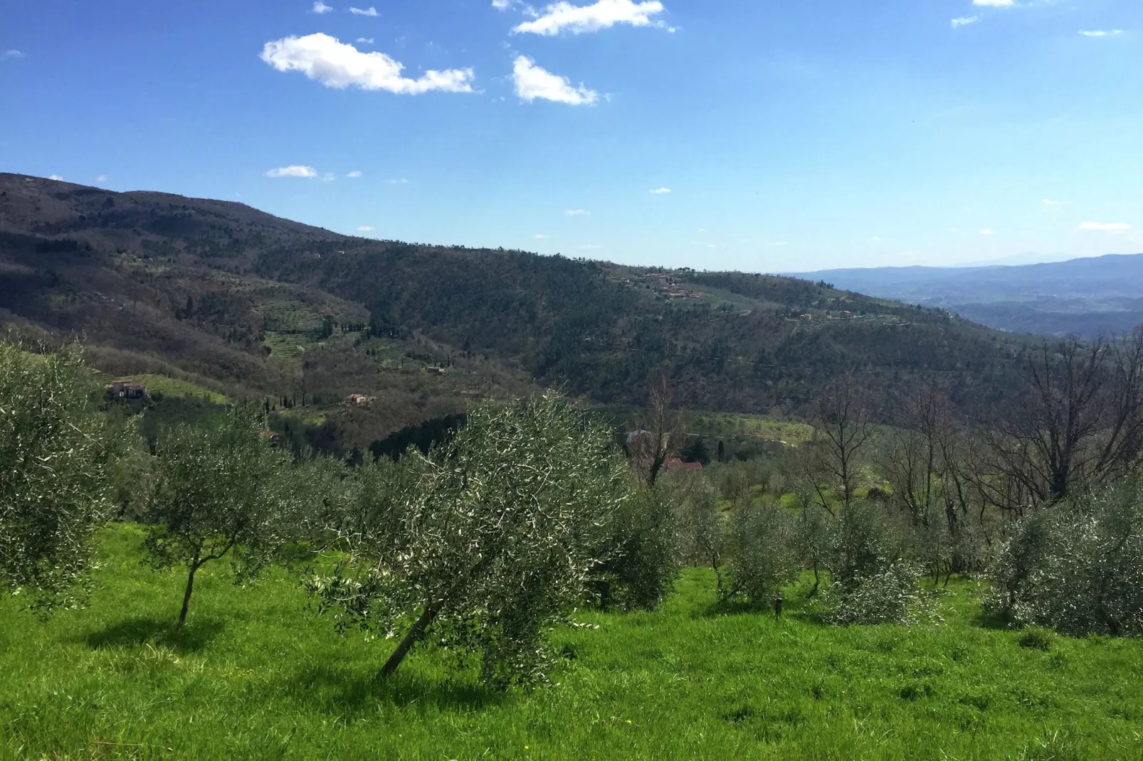 Boerderij voor 5 personen op een berg in Pratomagno-Gebieden zomer 5km