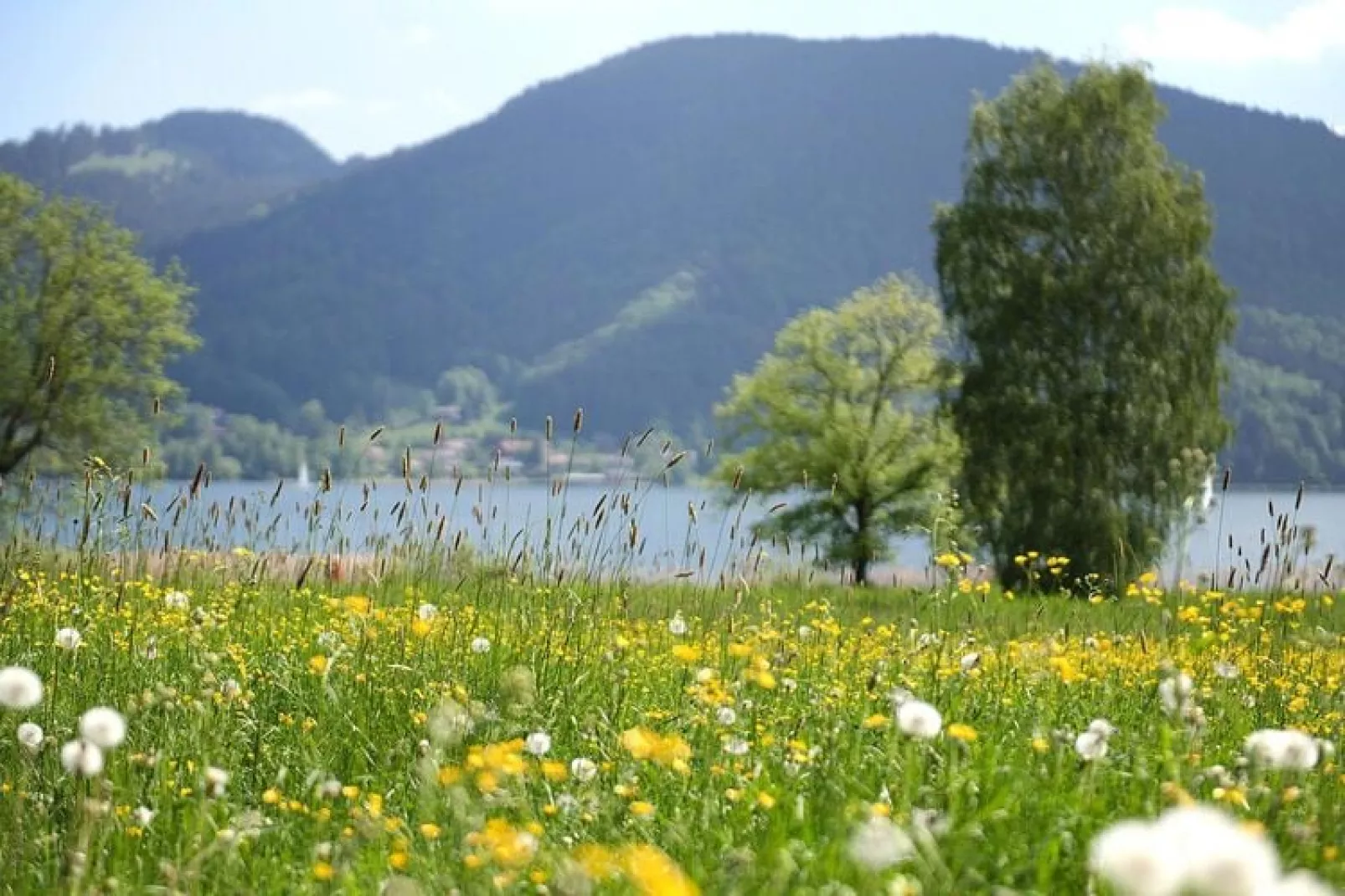 Haus Concordia in Bad Wiessee Typ A 33 qm-Uitzicht zomer