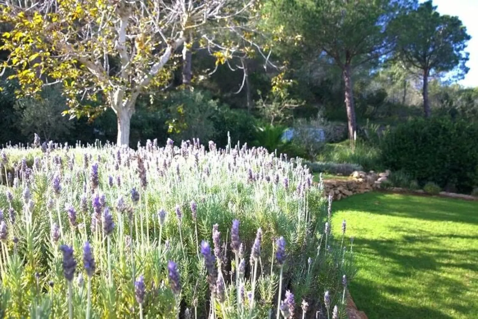 Finca Planetas-Tuinen zomer