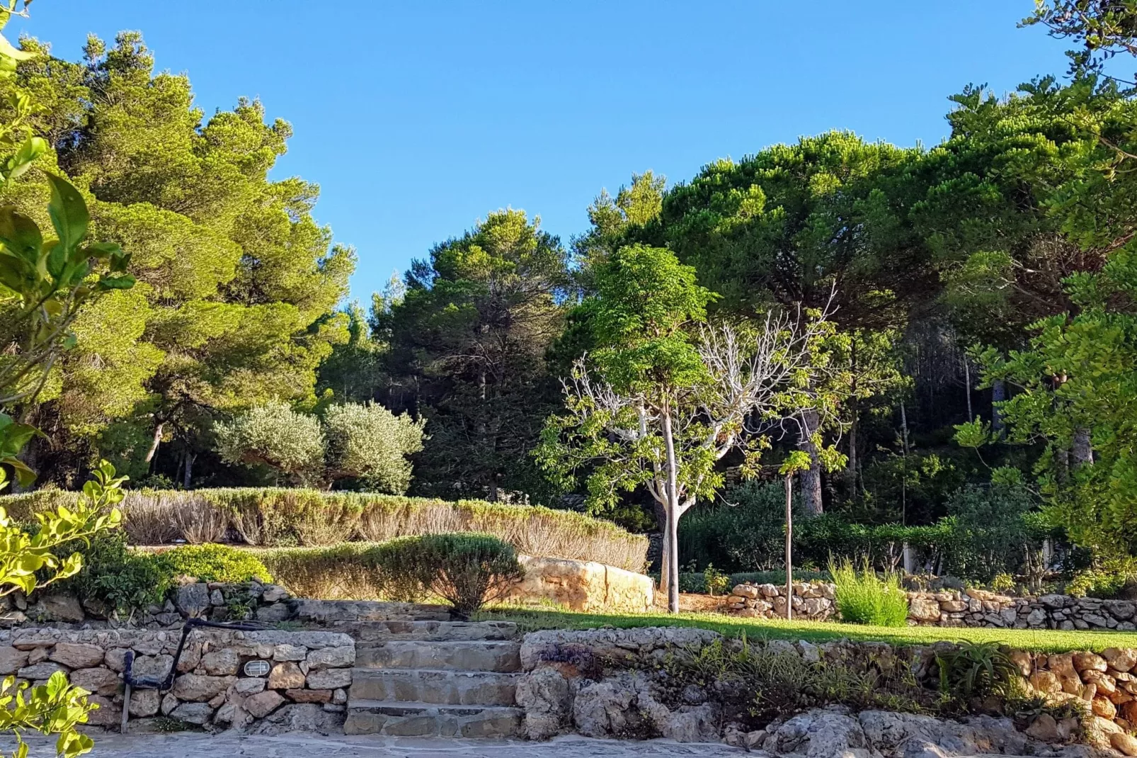 Finca Planetas-Tuinen zomer
