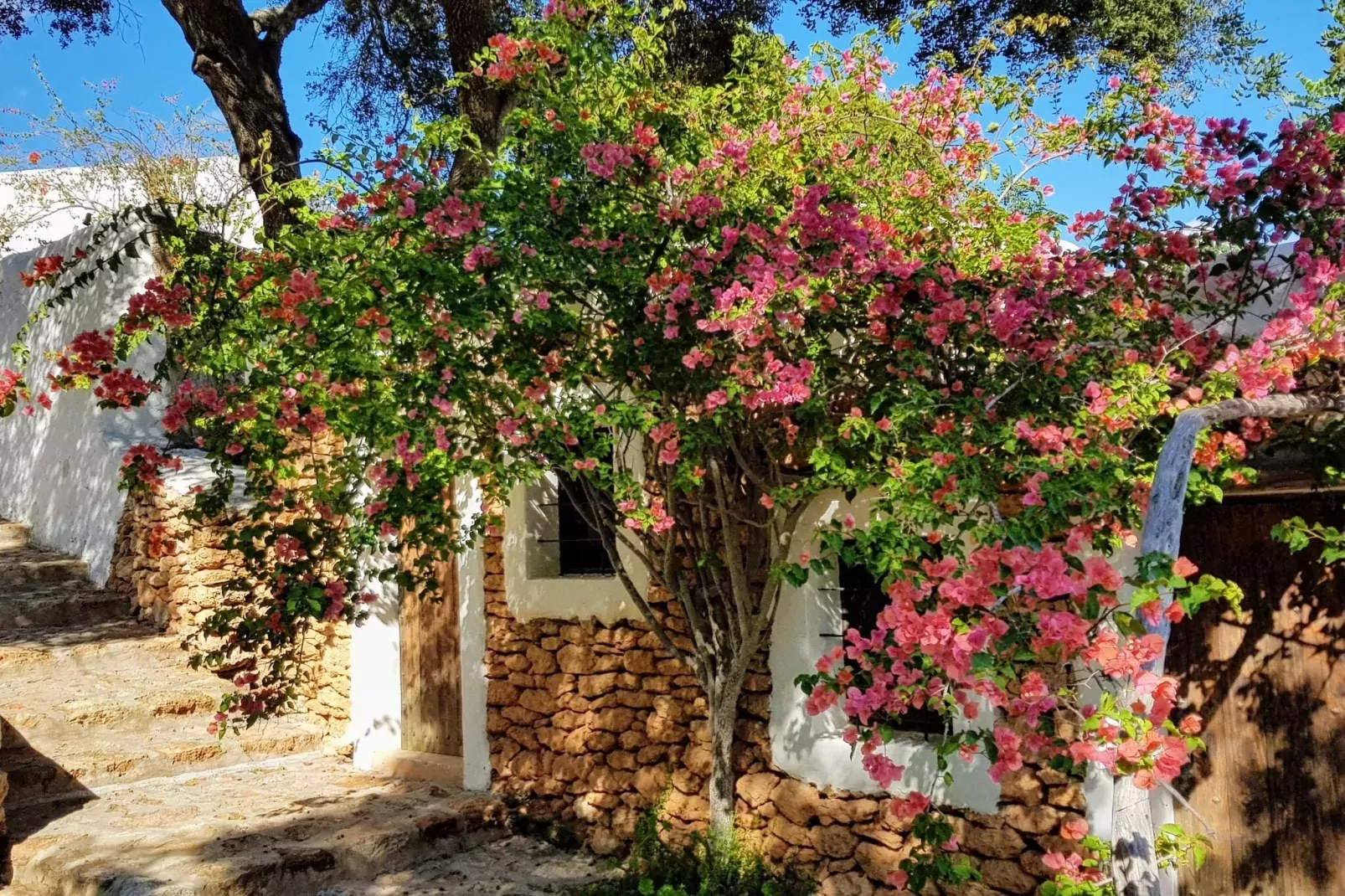 Finca Planetas