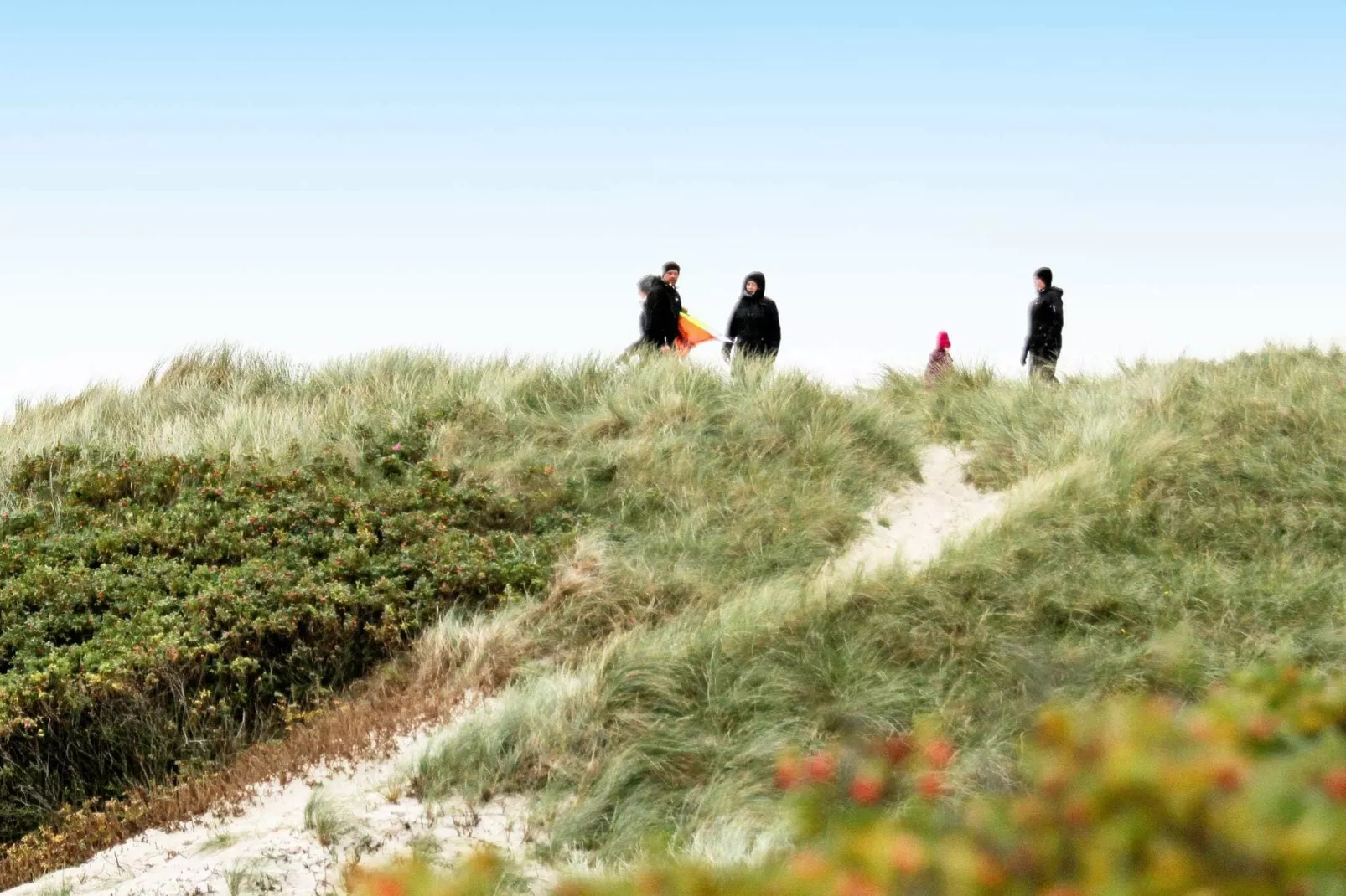 12 persoons vakantie huis in Hvide Sande-Uitzicht