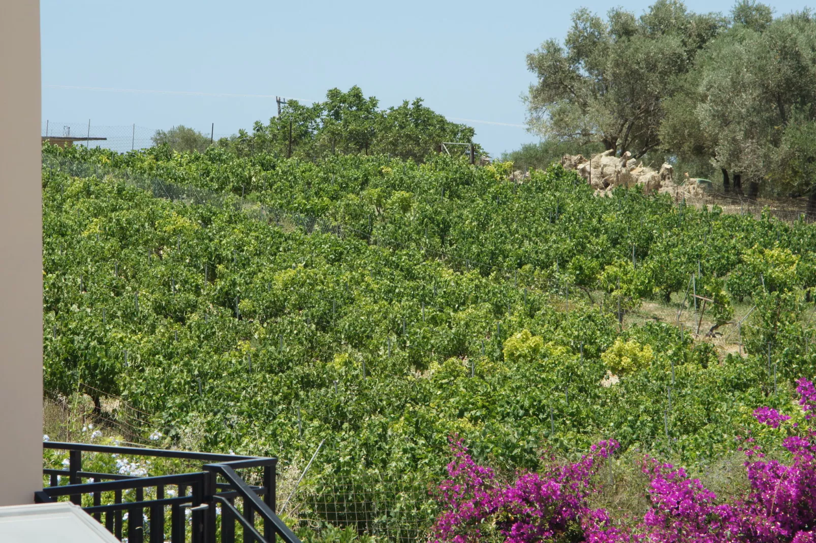 Villa Pelagia-Gebieden zomer 1km