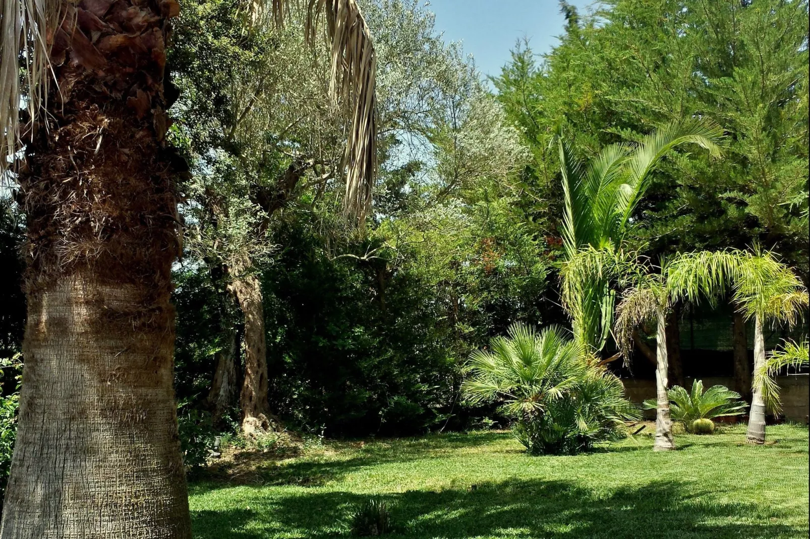 La Casa del Conte Ruggero Caltagirone Sicilia-Tuinen zomer