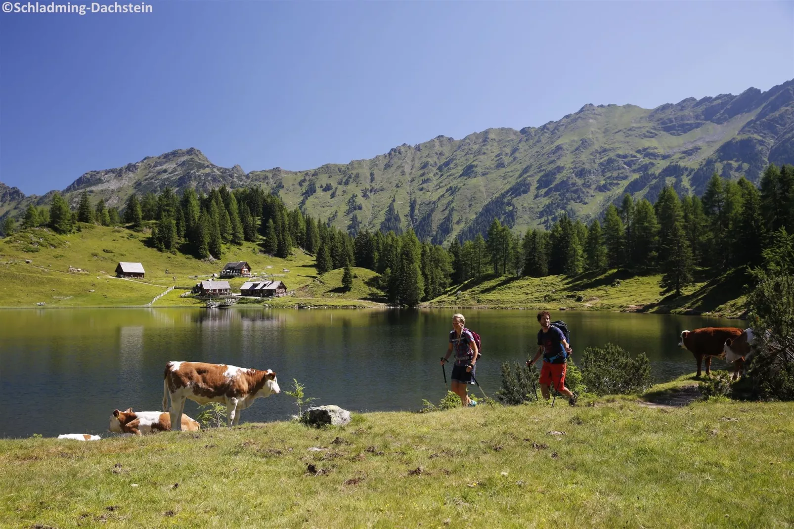 Alpenrock Schladming 4-Gebieden zomer 20km
