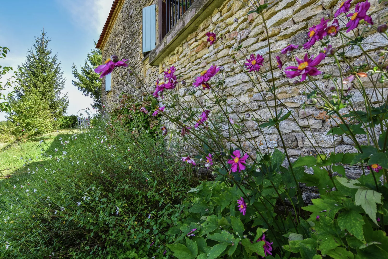 Maison au calme avec piscine-Tuinen zomer