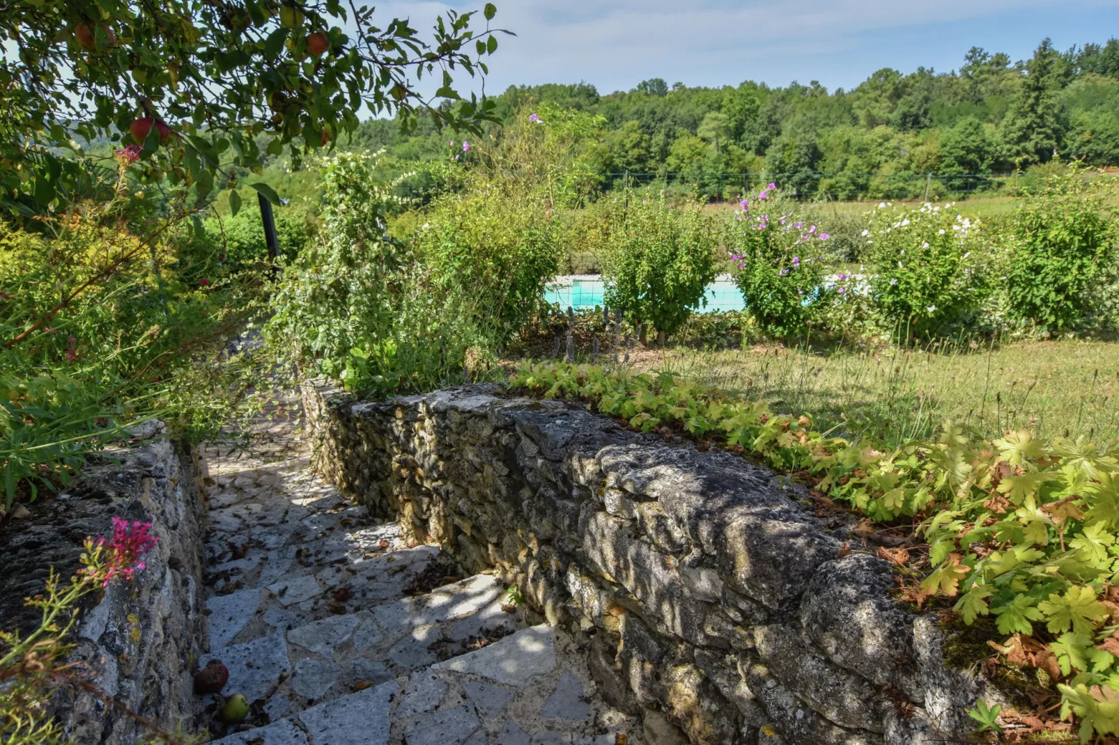 Maison au calme avec piscine-Tuinen zomer