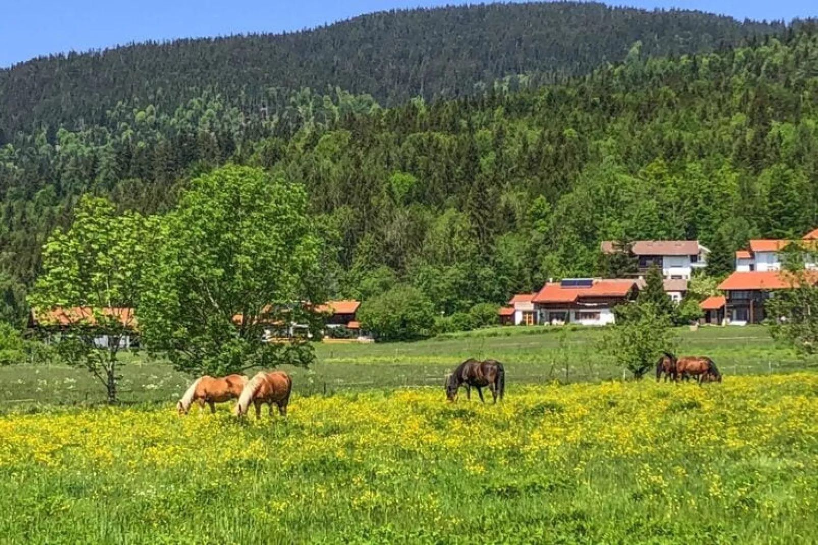 Chalet Chiemgau, Inzell-Haus Nr.10-Gebieden zomer 5km