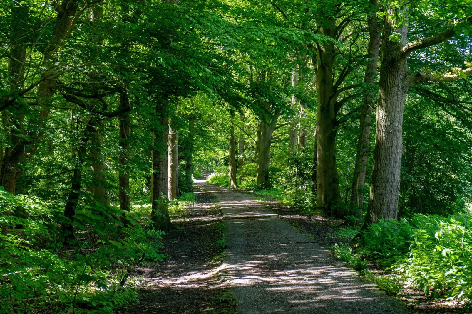 Resort Het Amsterdamse Bos 1-Gebieden zomer 5km