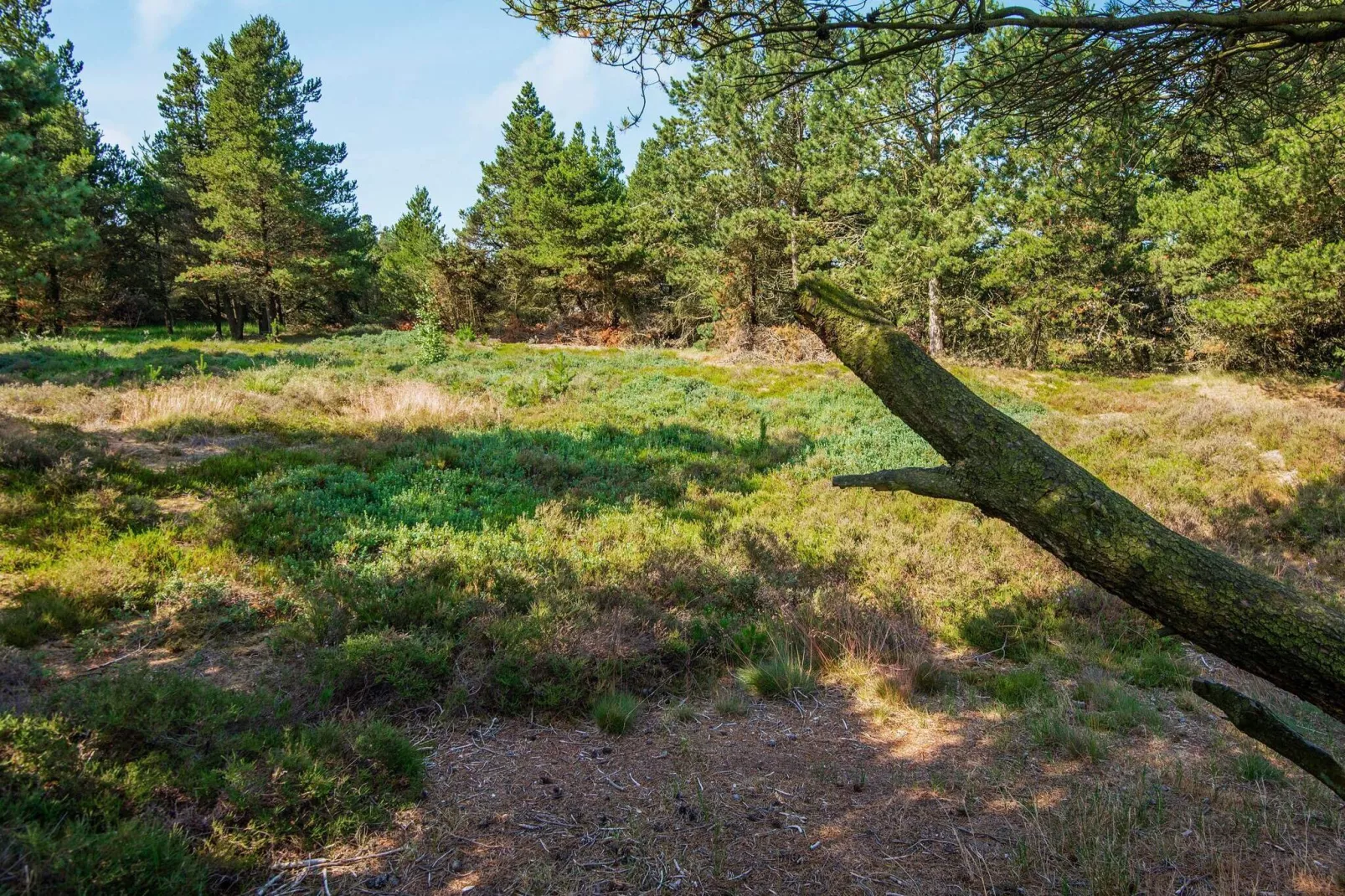 6 persoons vakantie huis in Rømø-By Traum-Uitzicht