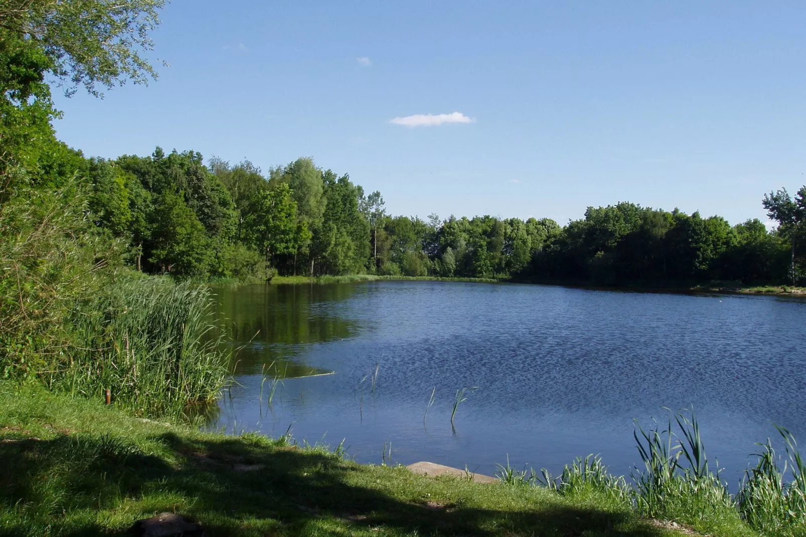 Blandinushof-Gebieden zomer 1km