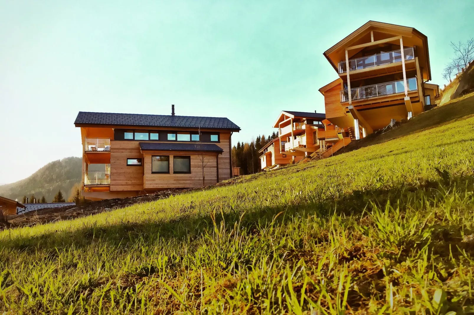 Alpenchalets Reiteralm 2-Buitenkant zomer