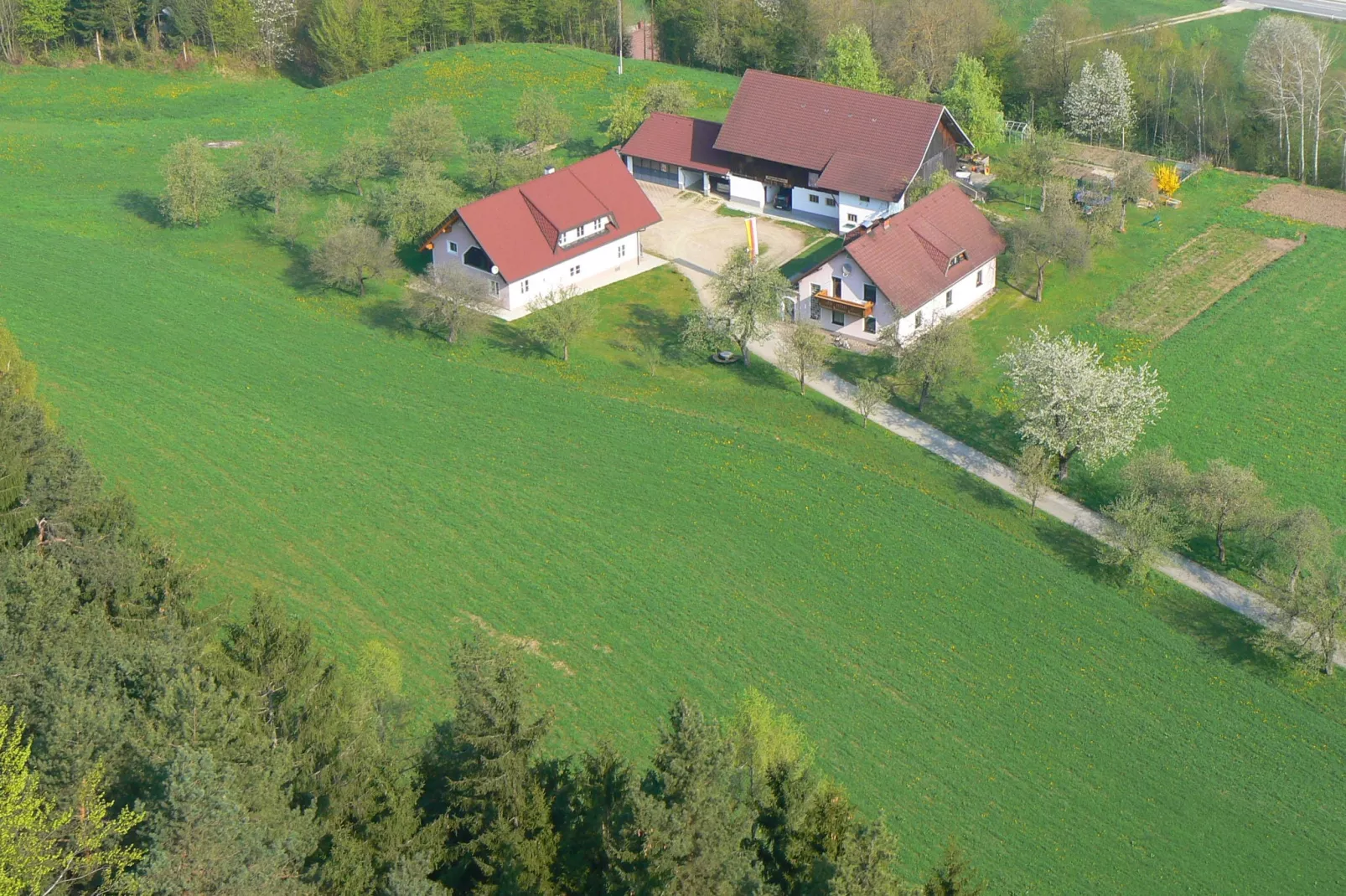 Ferienwohnung Neuhaus-Buitenkant zomer