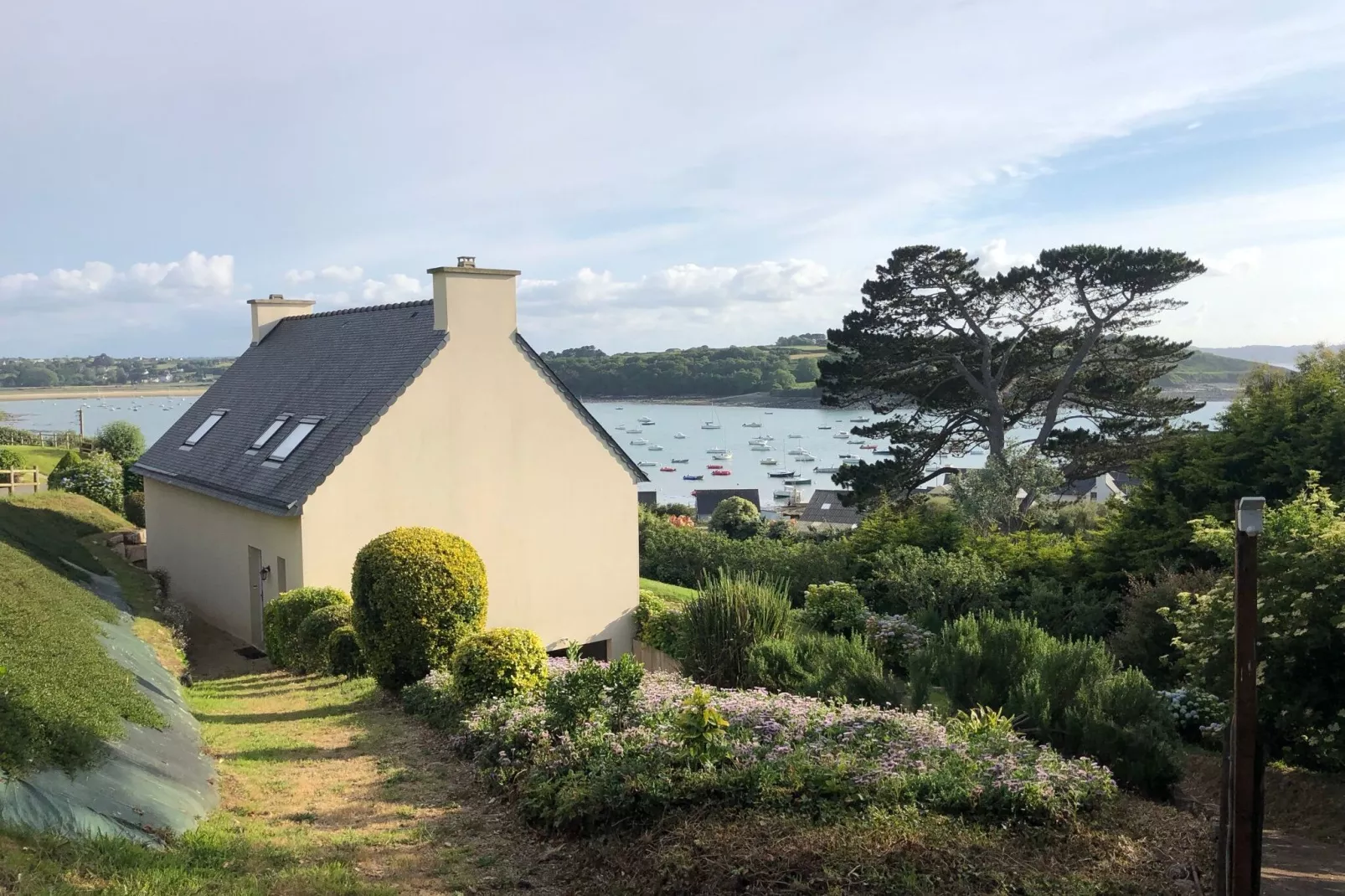 Maison de vacances Plougasnou-Terenez-Buitenkant zomer