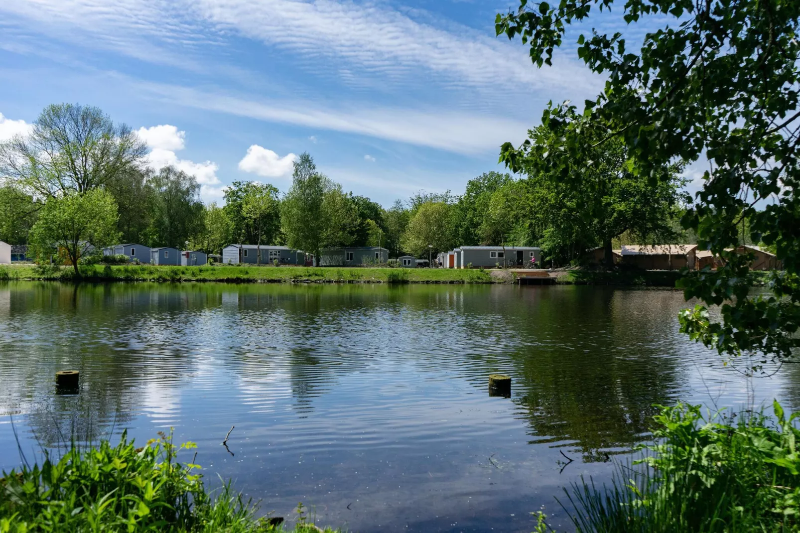 Resort Het Amsterdamse Bos 2-Gebieden zomer 1km