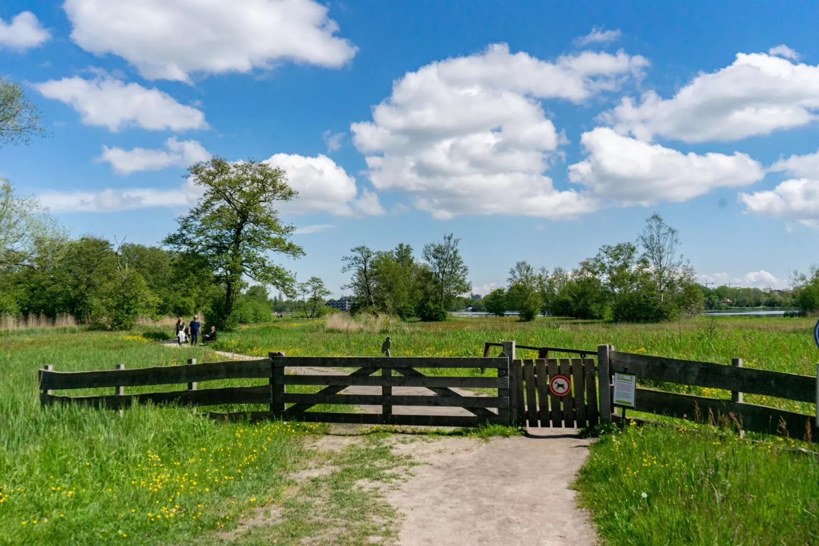 Resort Het Amsterdamse Bos 2-Gebieden zomer 5km