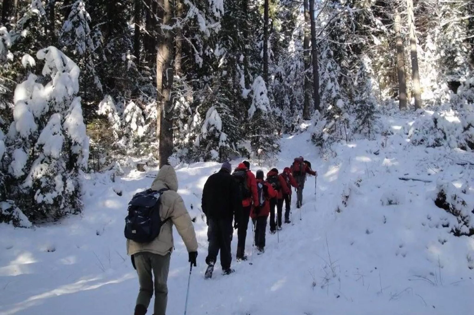 Ferienwohnung Neuhaus-Gebied winter 5km