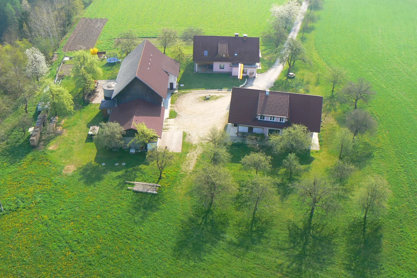 Ferienwohnung Neuhaus-Buitenkant zomer