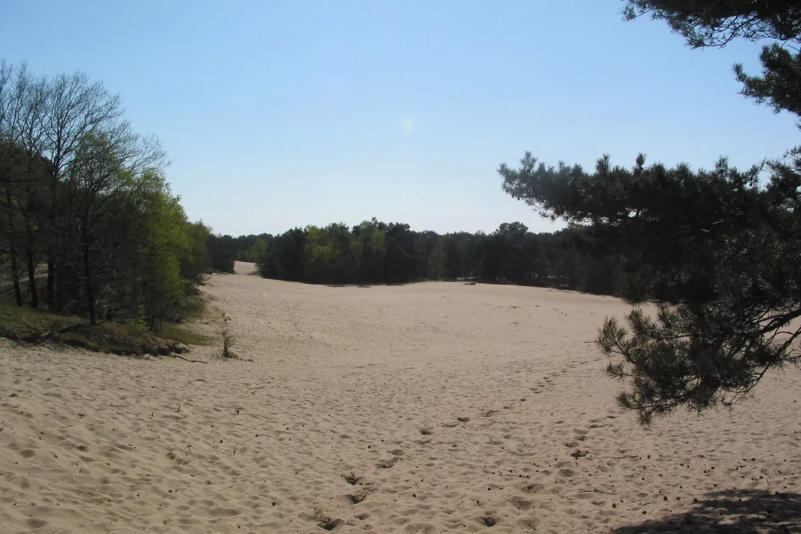 Vakantiepark Herperduin 9-Gebieden zomer 1km