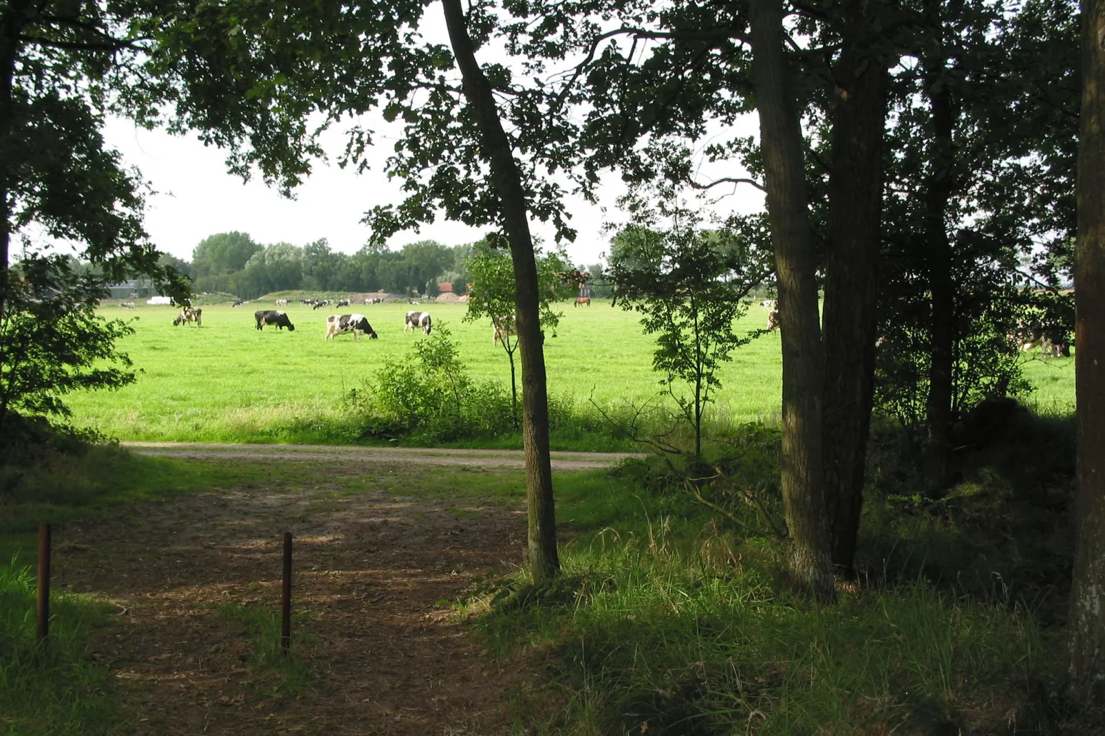 Vakantiepark Herperduin 9-Gebieden zomer 1km