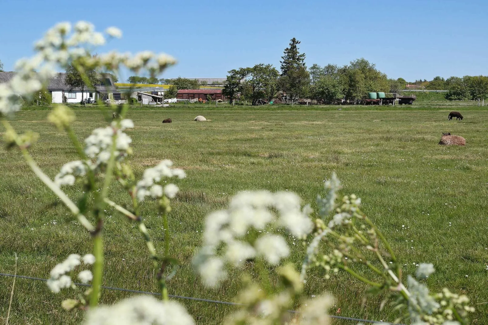 6 persoons vakantie huis in Vesløs-By Traum-Buitenlucht