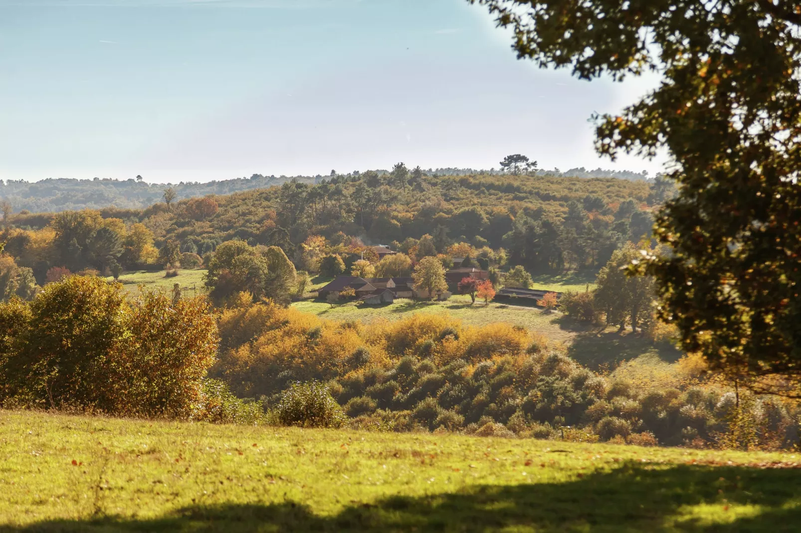 Maison de vacances Prats du Périgord  	Mas de Mouly-Uitzicht zomer