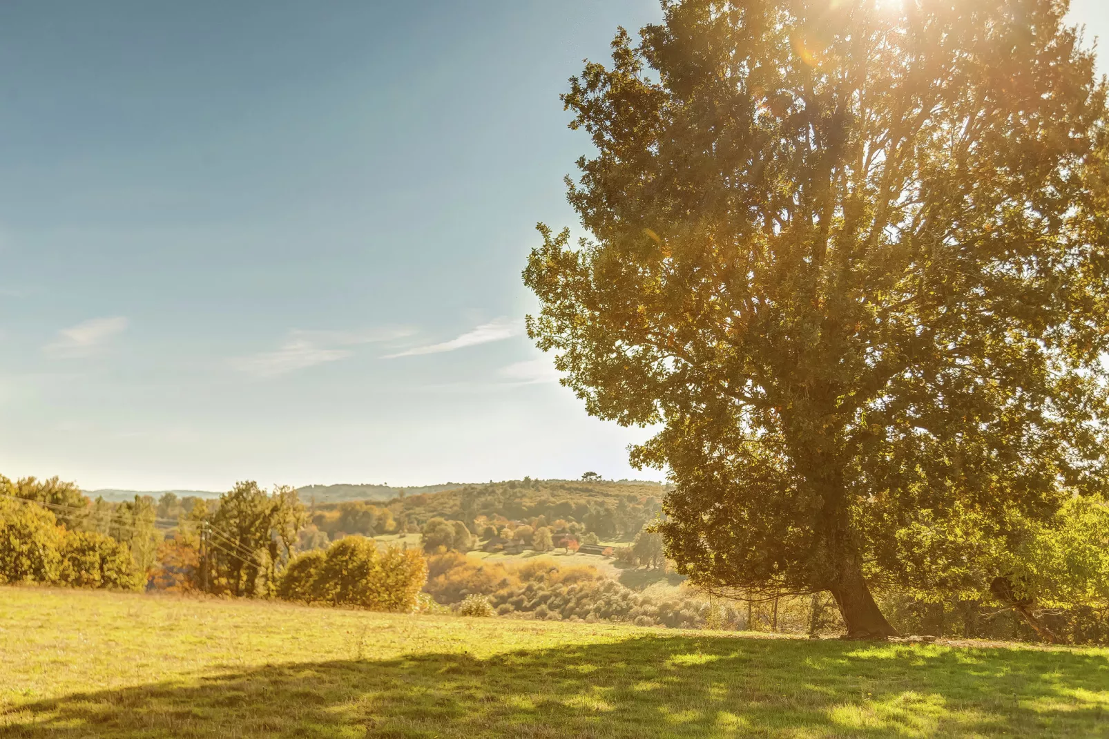 Maison de vacances Prats du Périgord  	Mas de Mouly-Uitzicht zomer