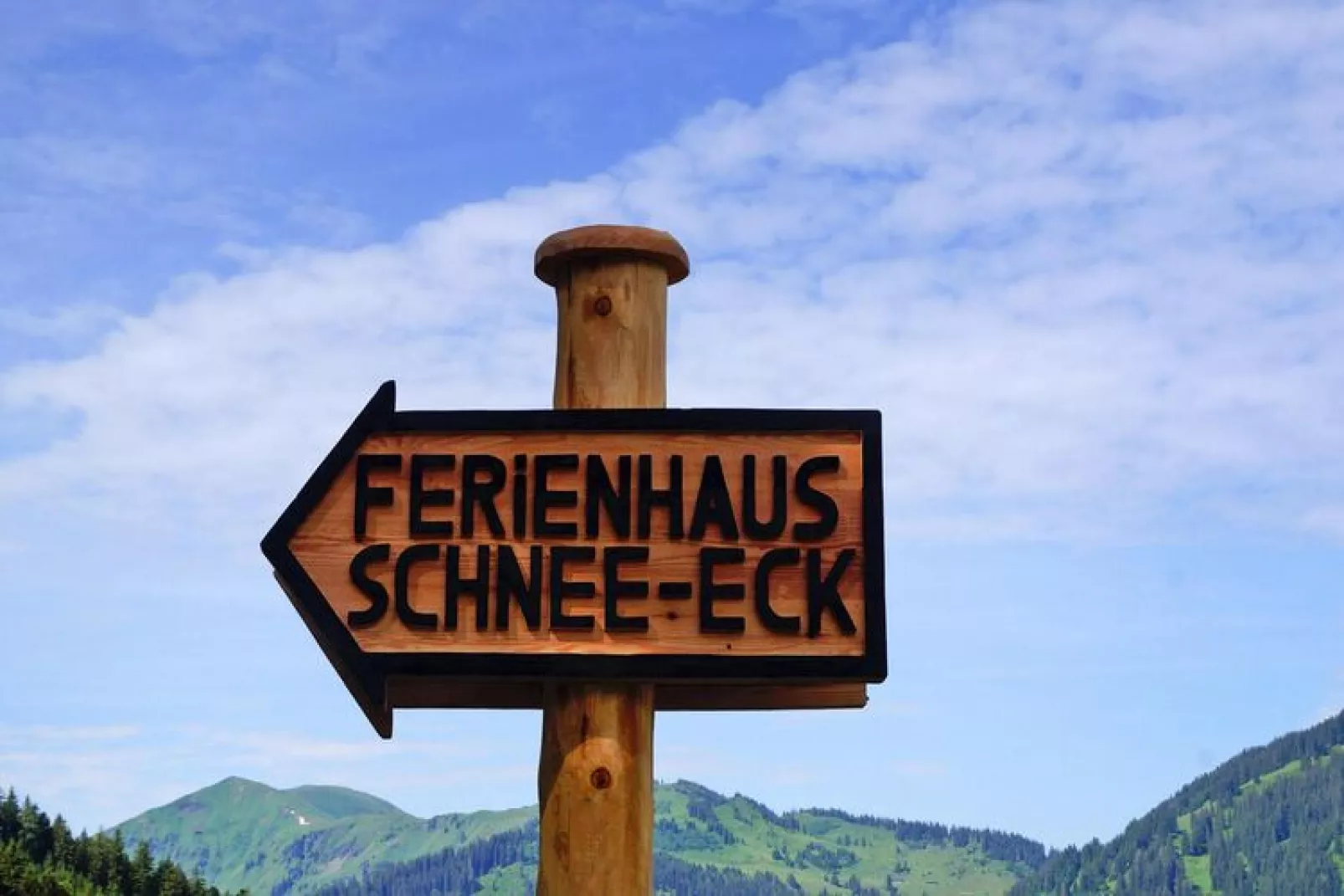 Holiday home, Dienten-Schnee-Eck 12 Pers.-Buitenlucht