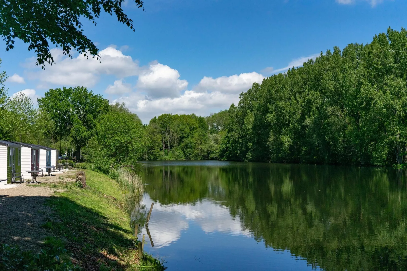 Resort Het Amsterdamse Bos 3-Uitzicht zomer