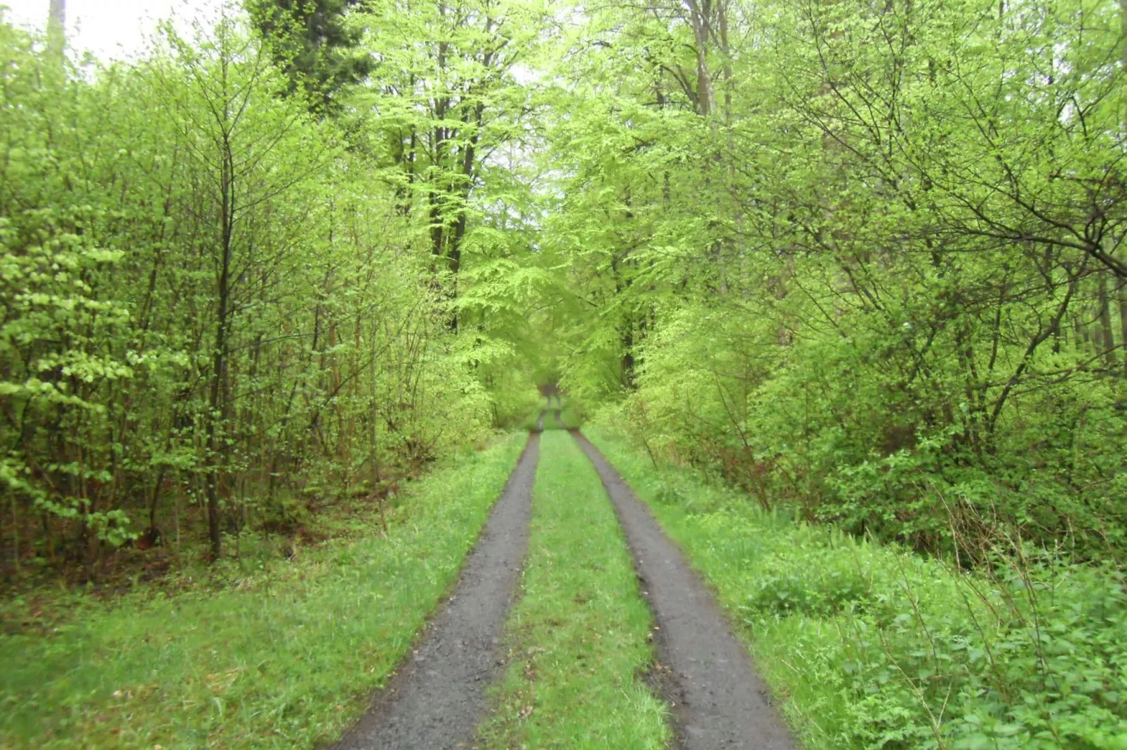 Nisterau-Gebieden zomer 5km