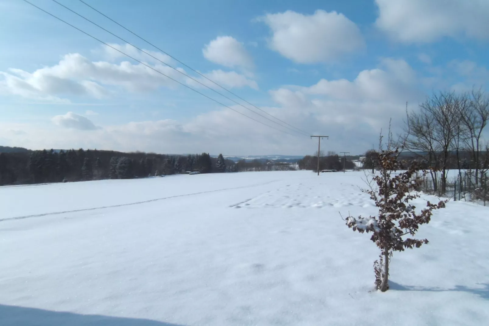 Nisterau-Gebied winter 5km