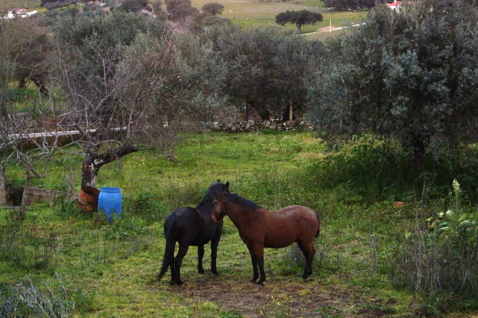 Casita del Estanque-Sfeer