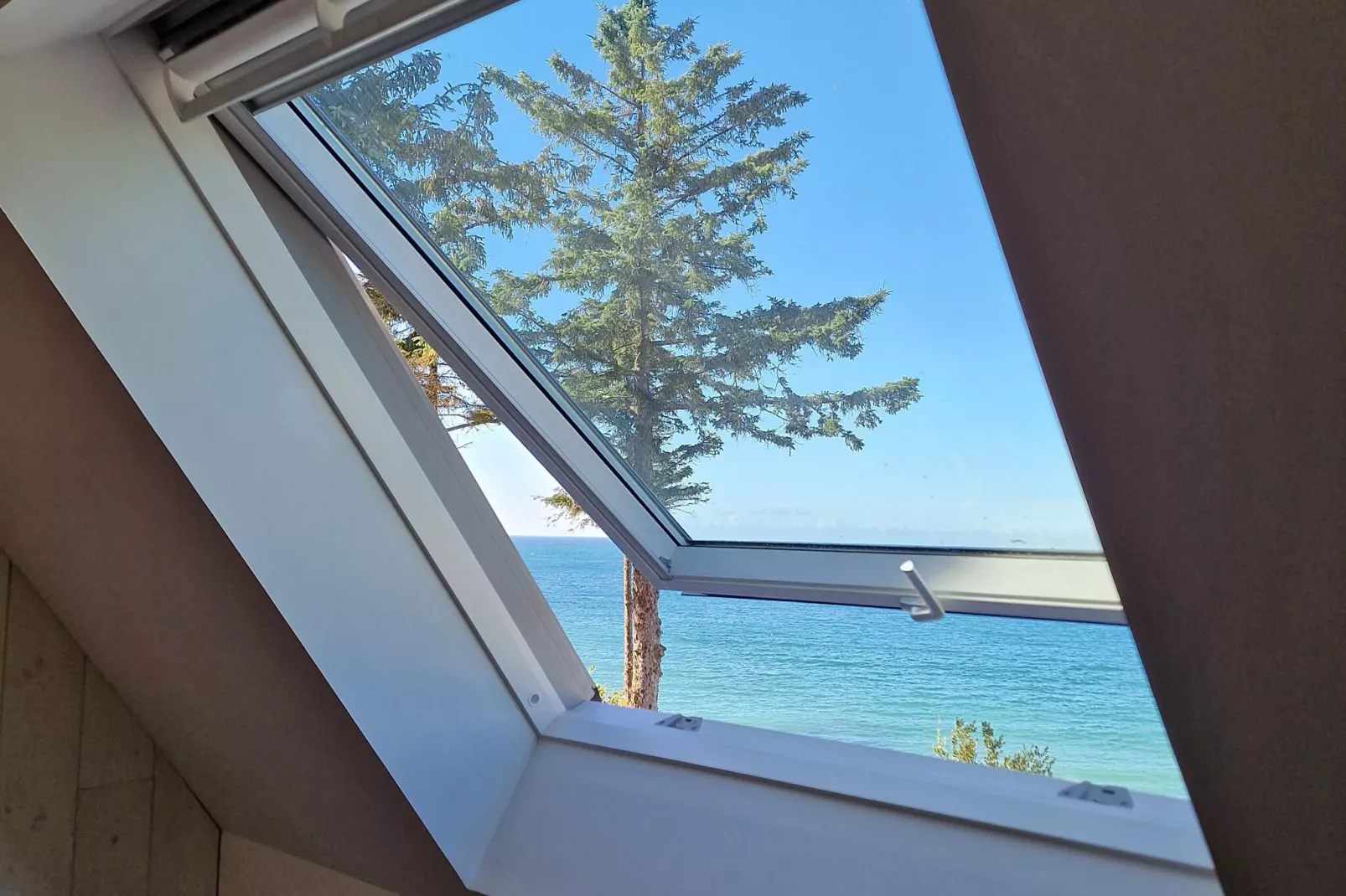 Maison de vacances Plougasnou-Uitzicht zomer