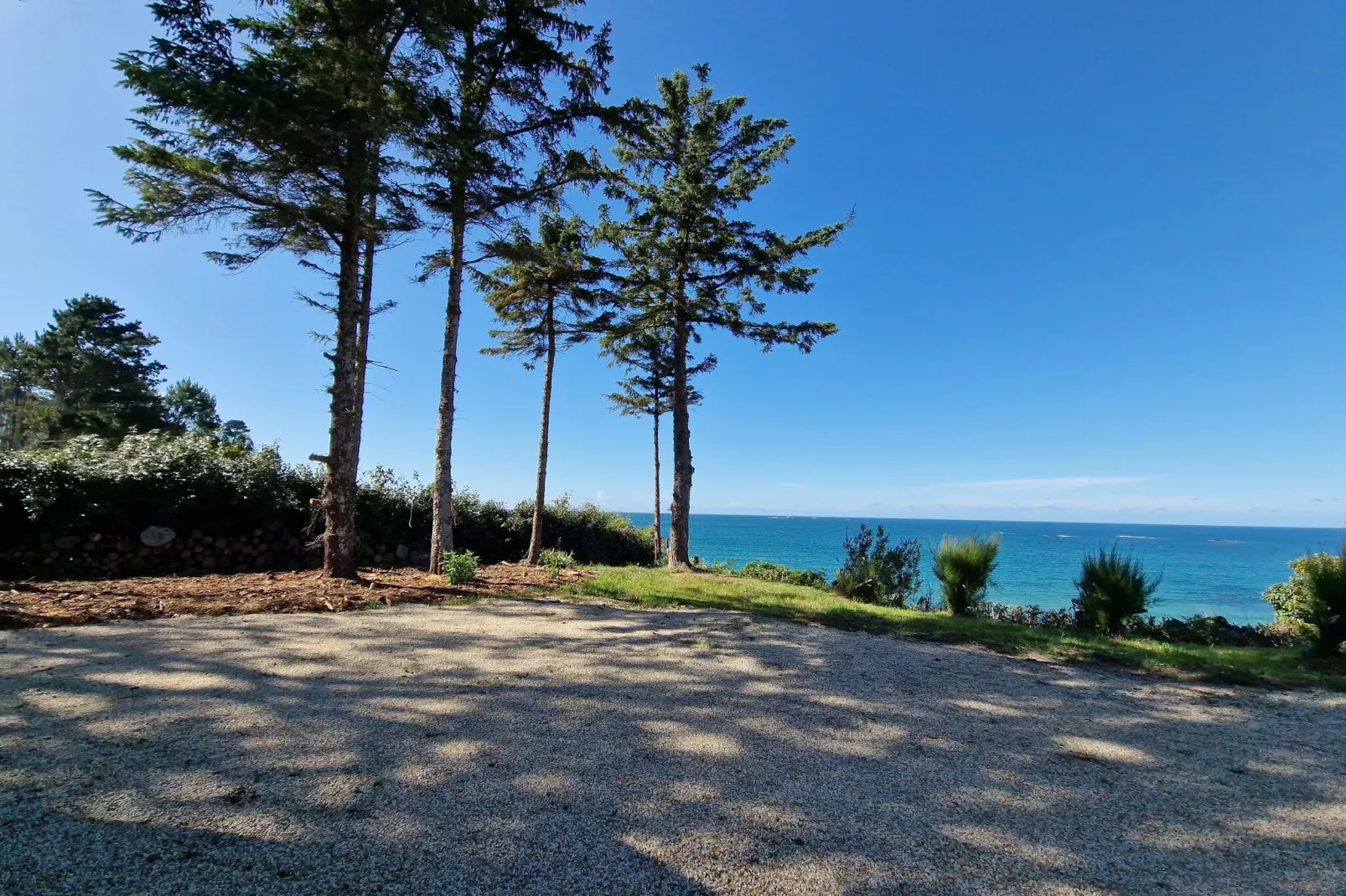Maison de vacances Plougasnou-Uitzicht zomer