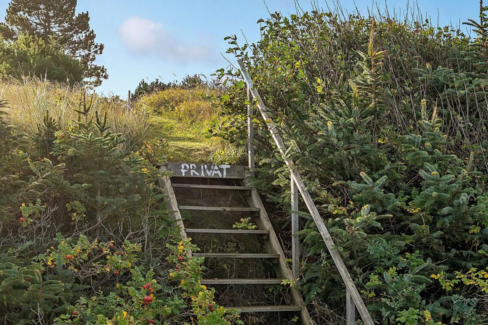 8 persoons vakantie huis in Gilleleje-Waterzicht