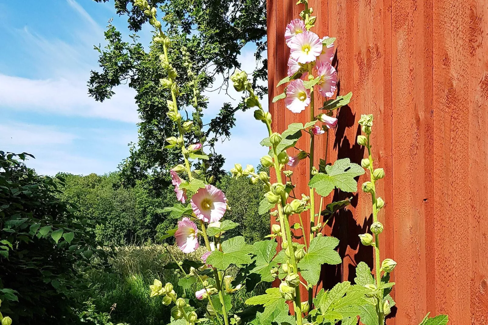 4 persoons vakantie huis in HÄLLEKIS-Buitenlucht