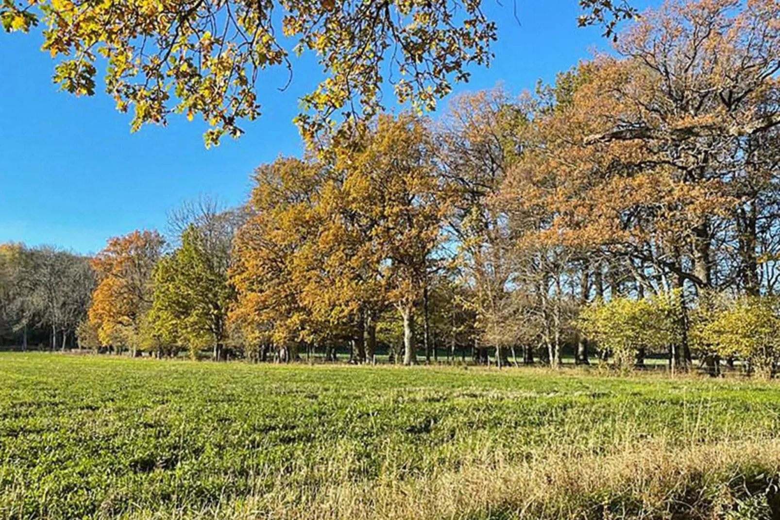 5 persoons vakantie huis in HÄLLEKIS-Buitenlucht