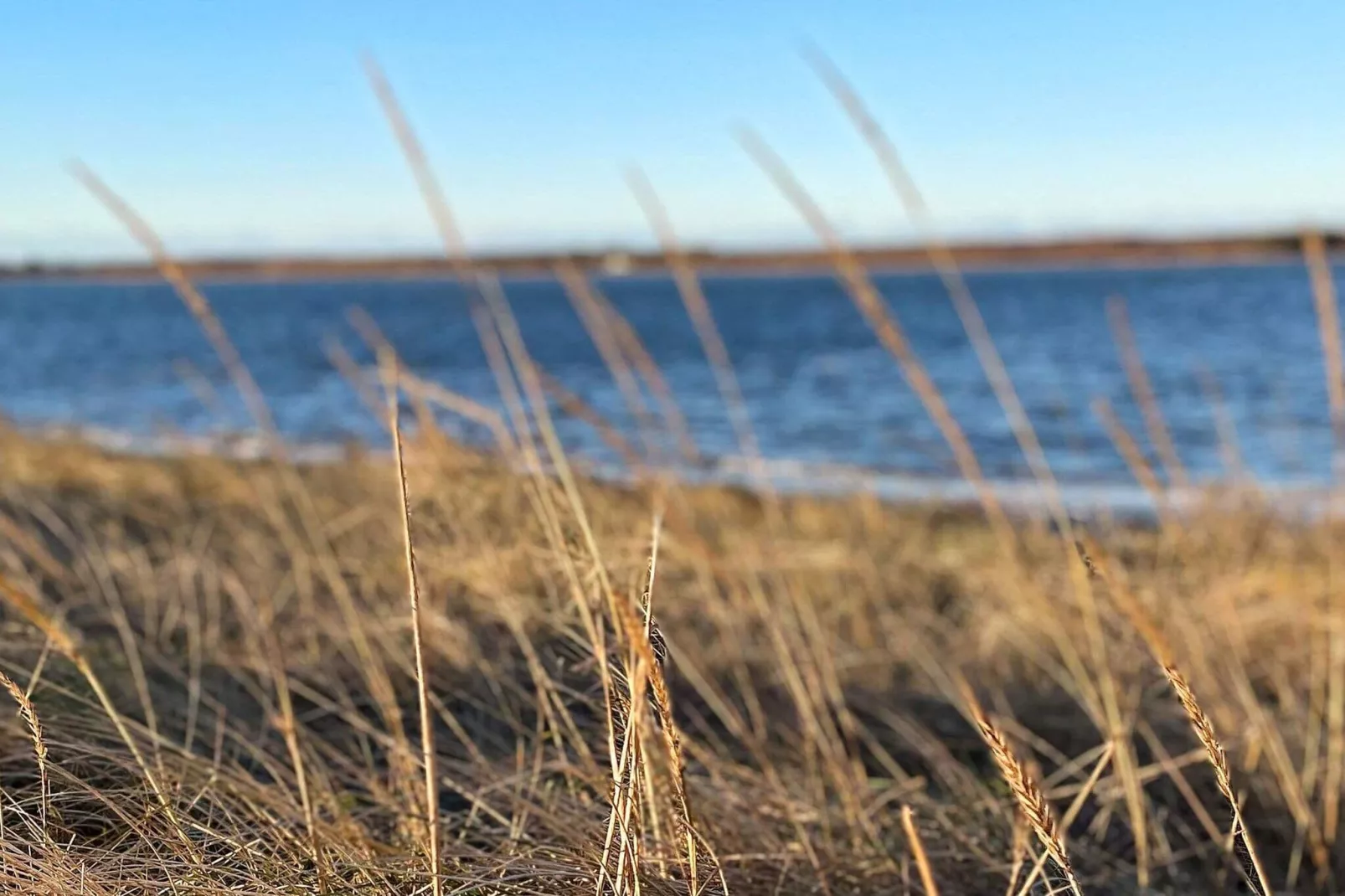 Stijlvol vakantiehuis in de buurt van de zee in Storvorde-Uitzicht