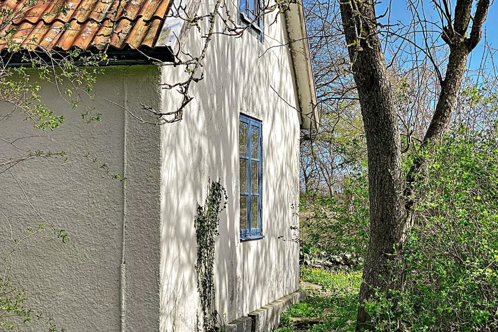 Rustige oase in Noord-oland-By Traum-Buitenlucht