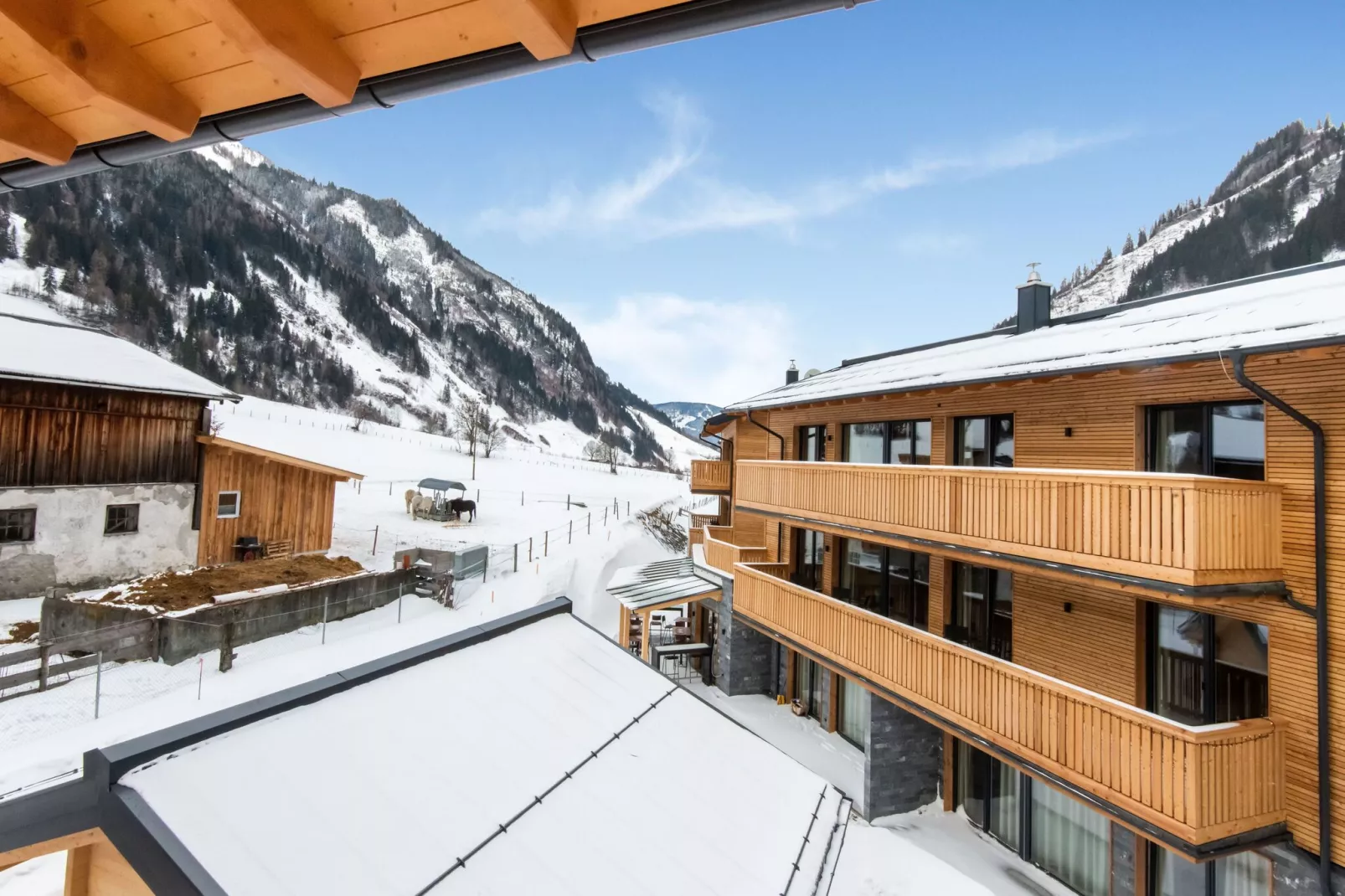 Golden Lodges Type 50 - APP 4 pers - Uitzicht winter