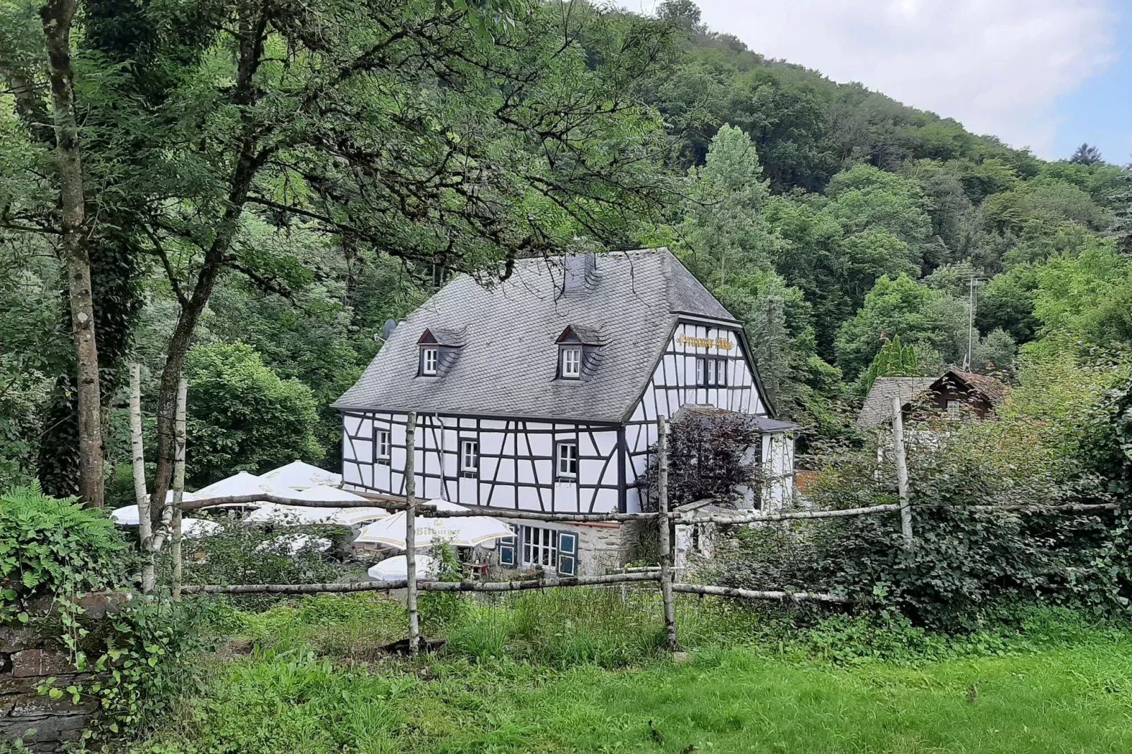 Ferienwohnung Blaue Stunde im Pyrmonter Zehnthof-Gebieden zomer 5km