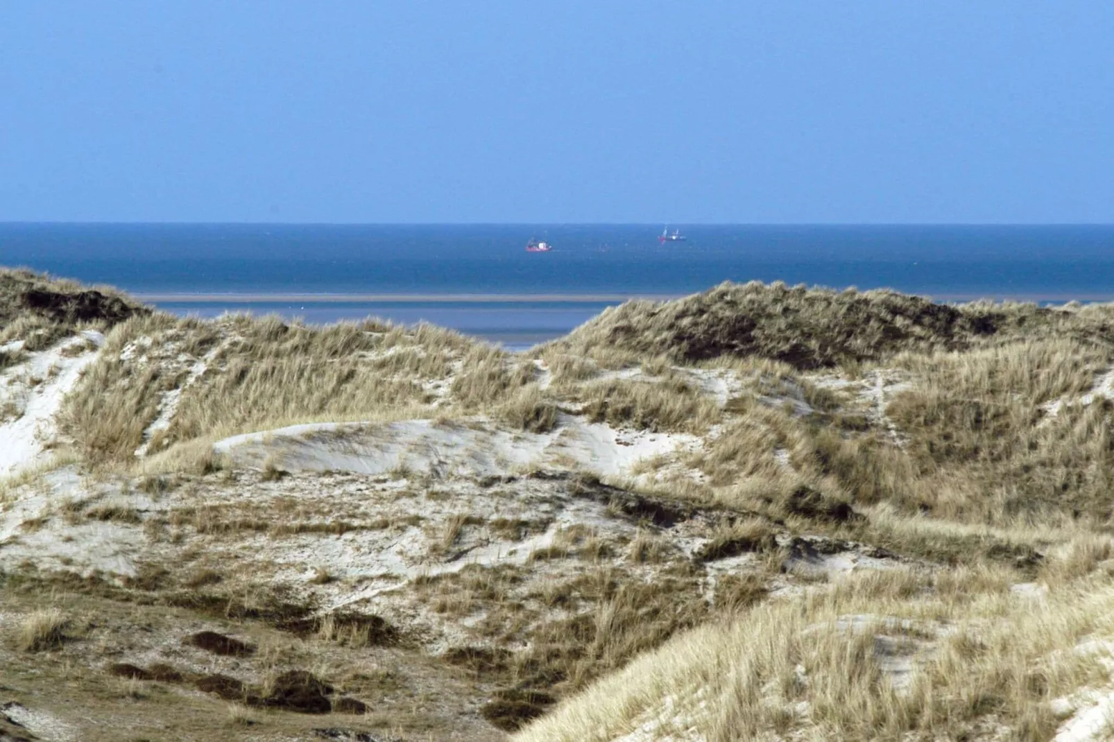 6 persoons vakantie huis in Fanø-Uitzicht