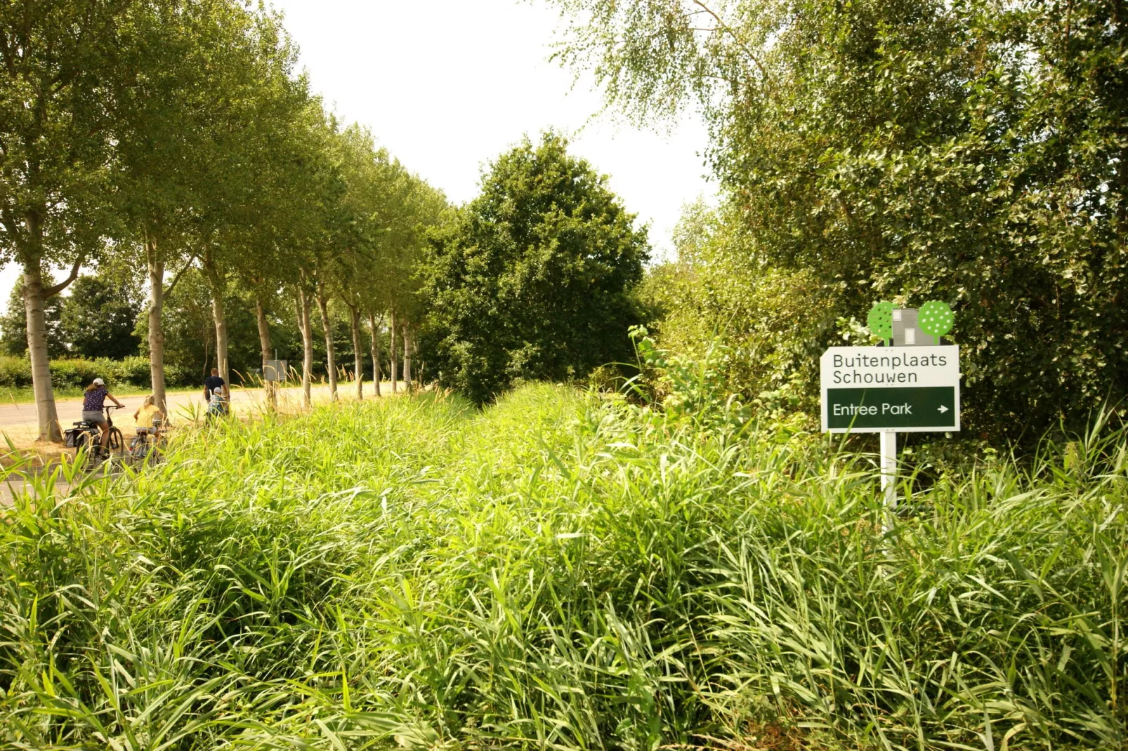 De Haaijmanweg 5-Gebieden zomer 1km