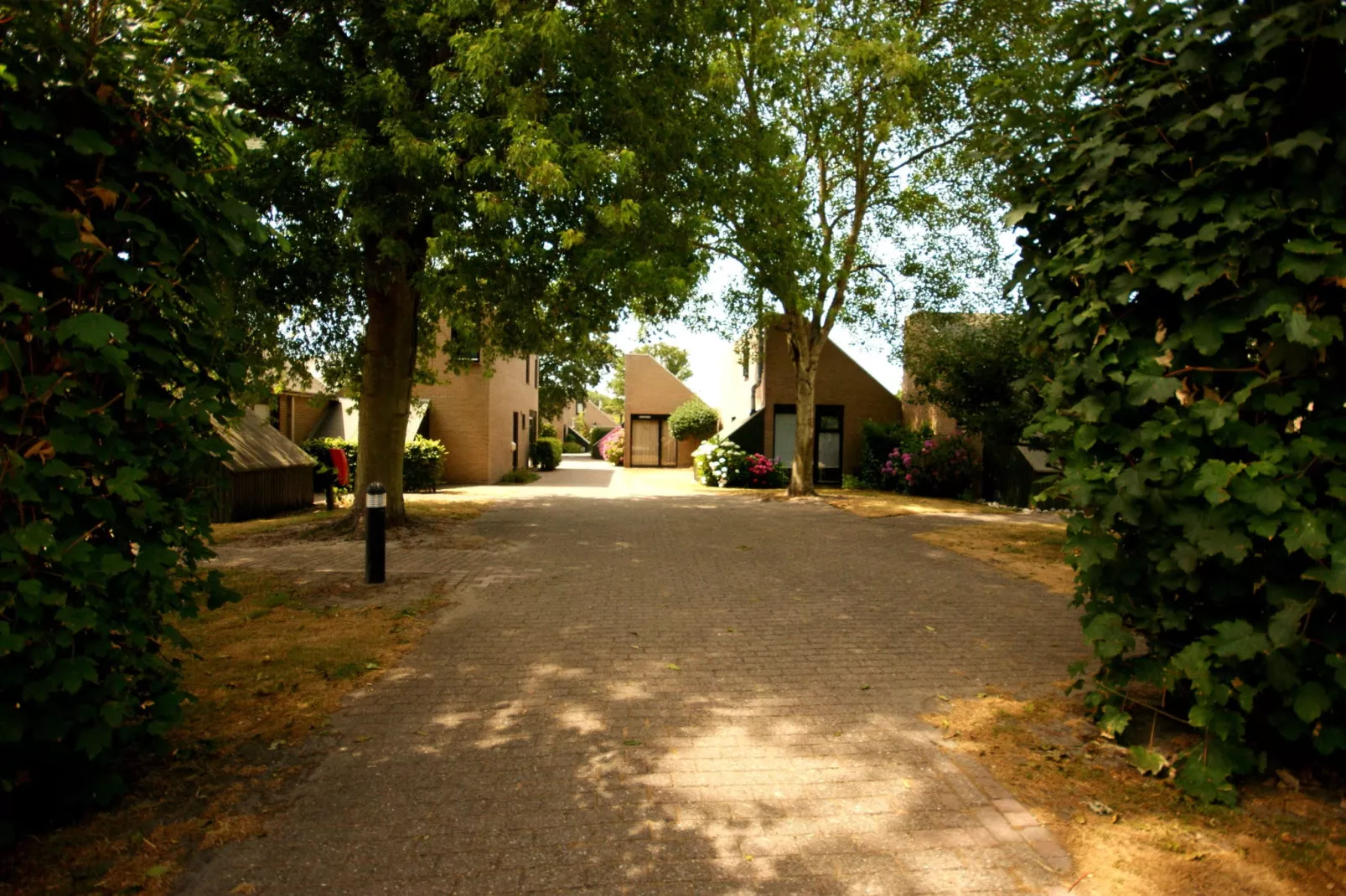 De Haaijmanweg 5-Gebieden zomer 1km