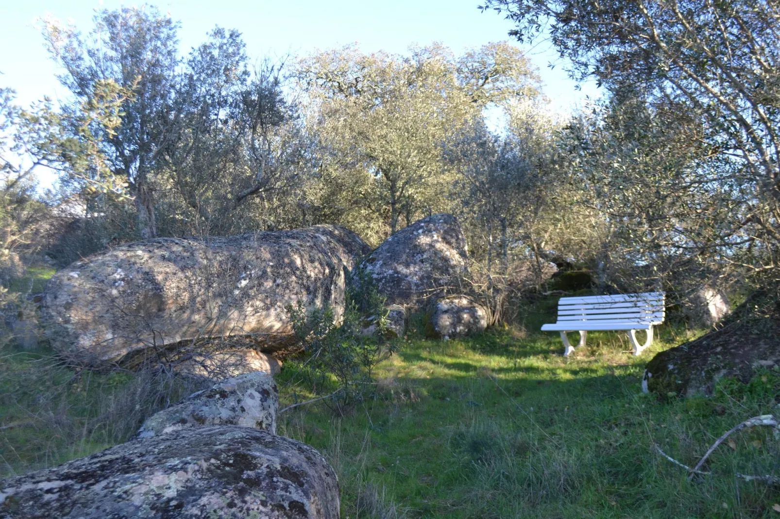 Quinta do Couto-Gebieden zomer 1km