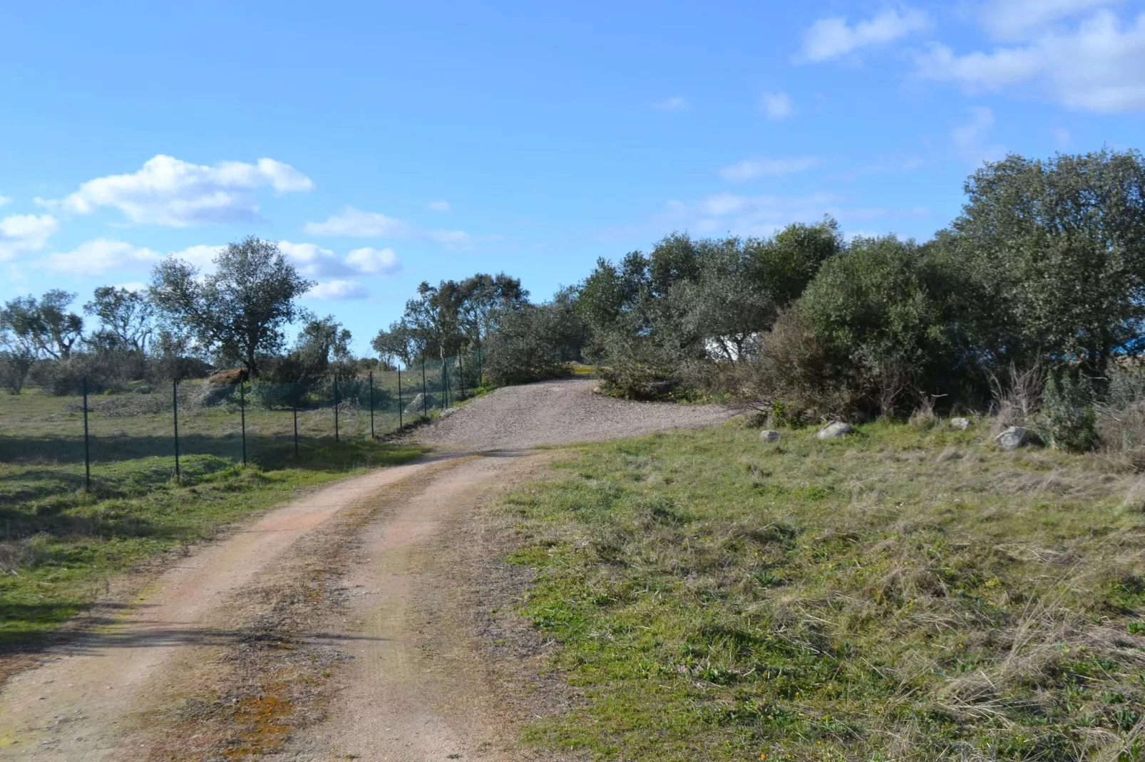 Quinta do Couto-Gebieden zomer 1km