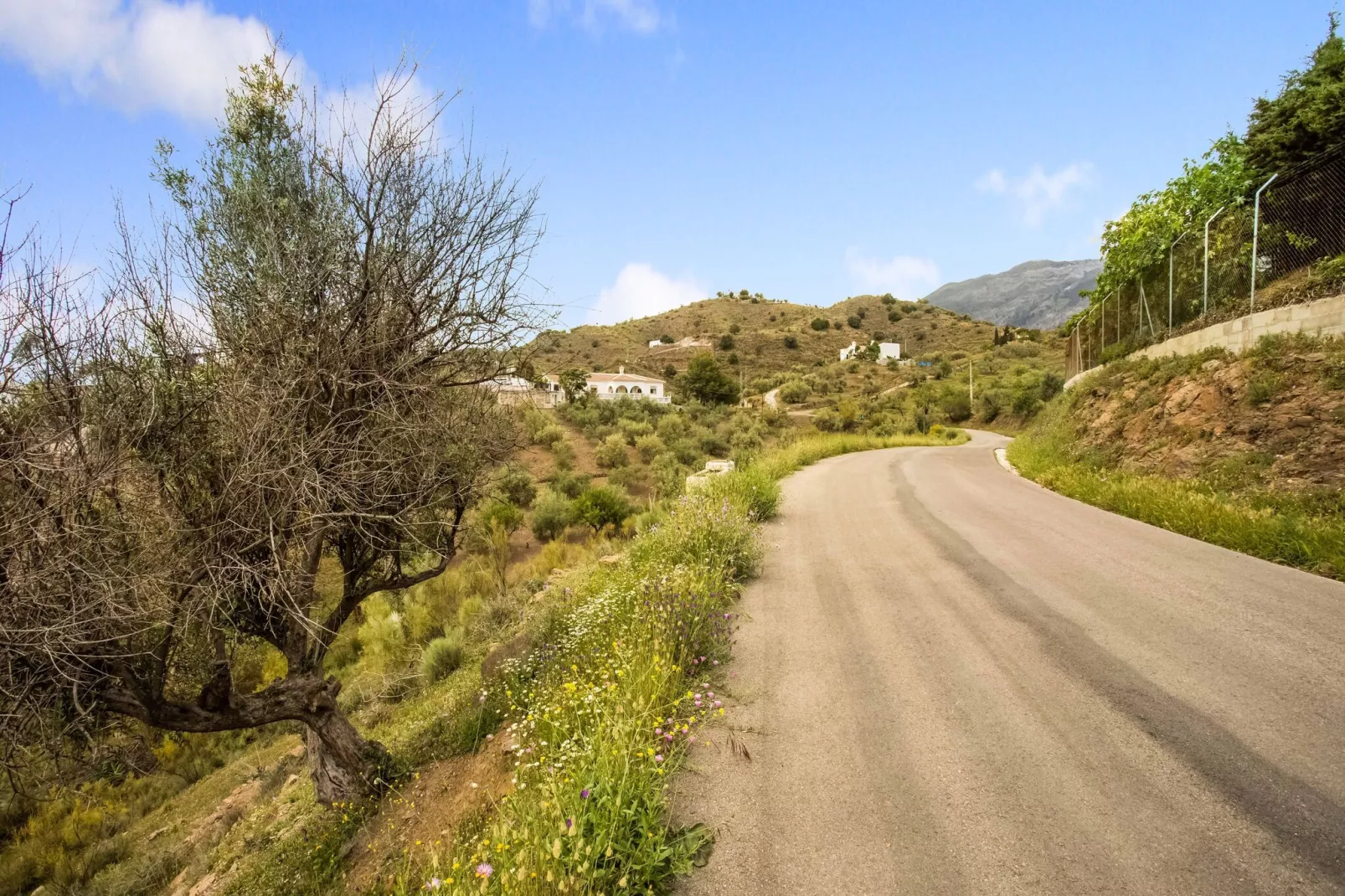 La Loma-Gebieden zomer 1km