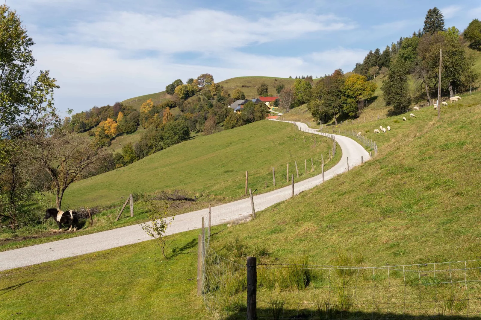 Kois Hütte-Uitzicht zomer