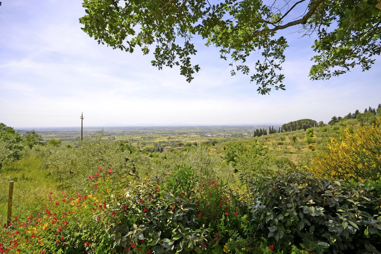 Villa Palazzone-Gebieden zomer 1km